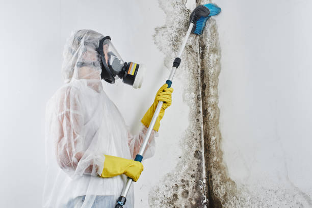Best Mold Testing  in Rutledge, GA