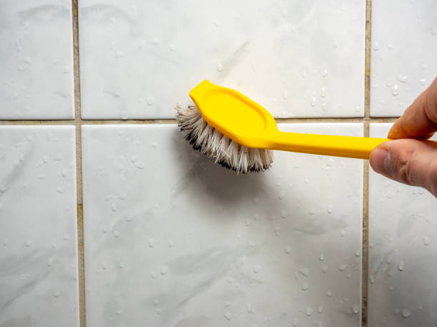 Best Office Mold Removal Services  in Rutledge, GA