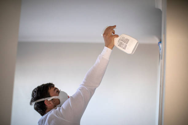 Best Mold Removal Company Near Me  in Rutledge, GA