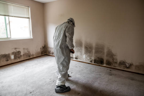 Best Crawl Space Mold Removal  in Rutledge, GA